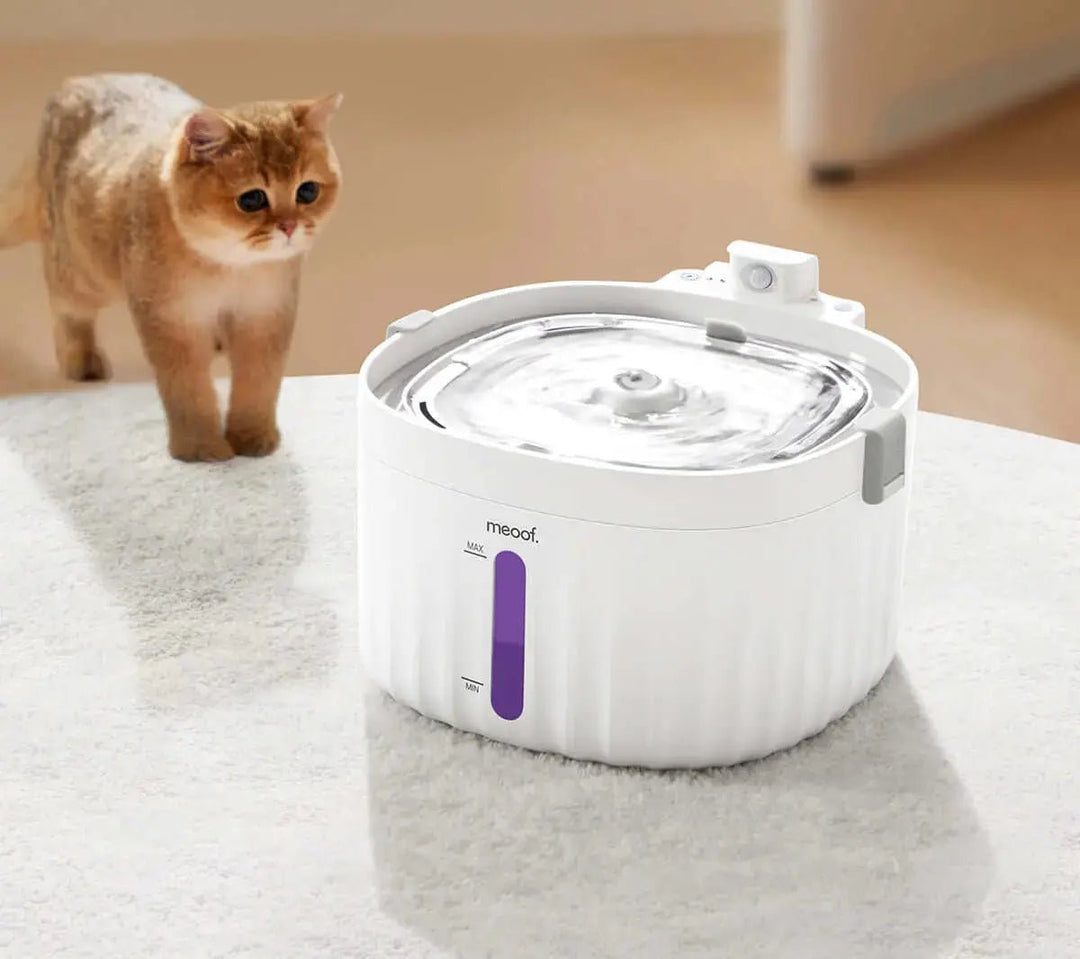 Smart Pet Gadgets - Gazebo Pet Hub
