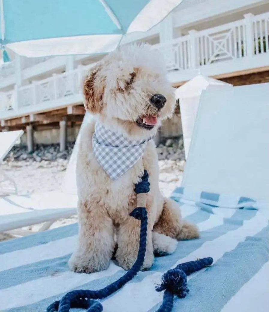 ROPE LEASH - MYSTICAL FAIRYTALE Pawsome Pets New York® Official Site