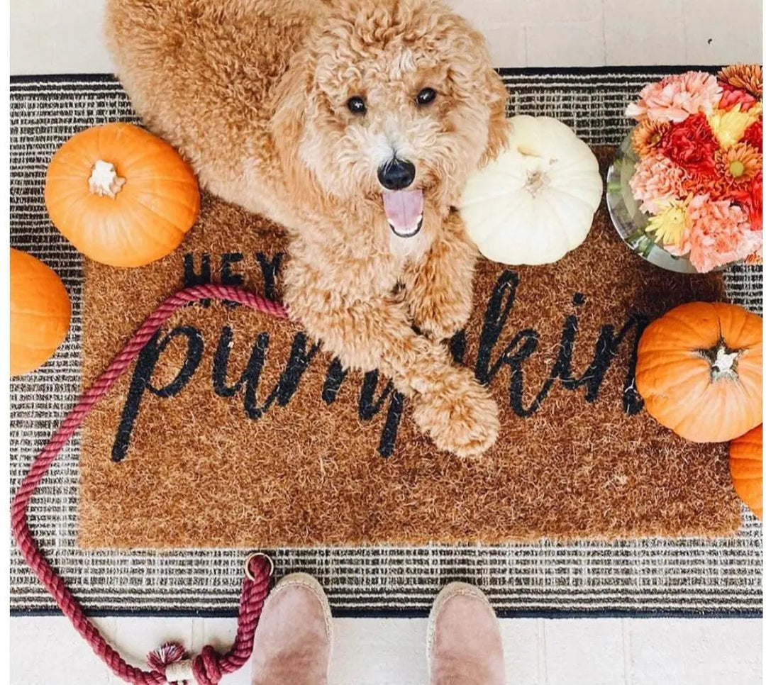 ROPE LEASH - MYSTICAL FAIRYTALE Pawsome Pets New York® Official Site