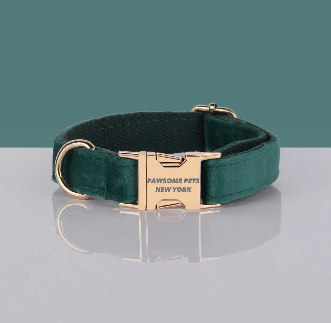 PAWSOME DOG COLLAR - #25 Pawsomepetsnewyork