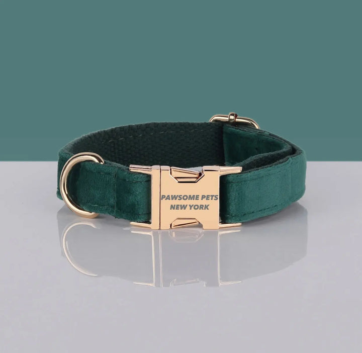 PAWSOME DOG COLLAR - #25 Pawsomepetsnewyork