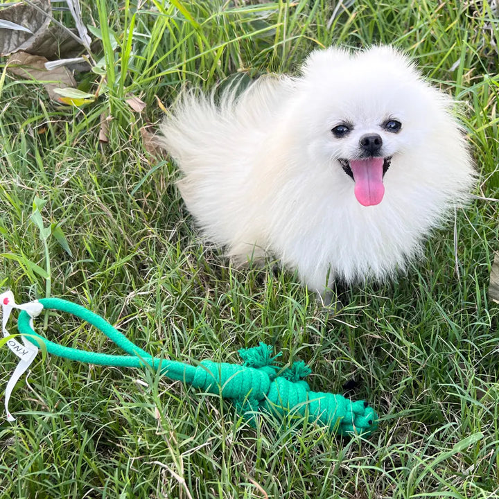 Owen the Green Lizard Rope Toy Knotty Pawz