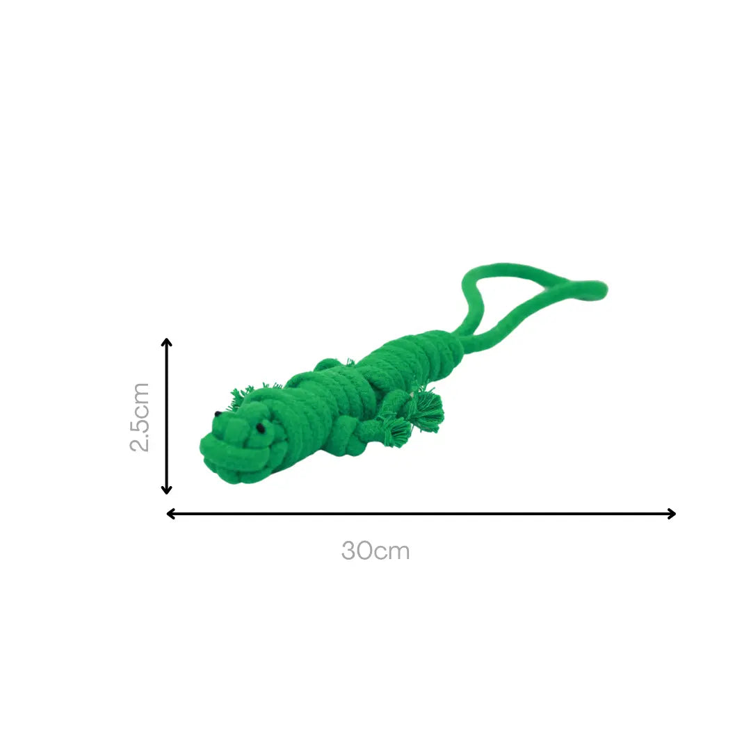 Owen the Green Lizard Rope Toy Knotty Pawz