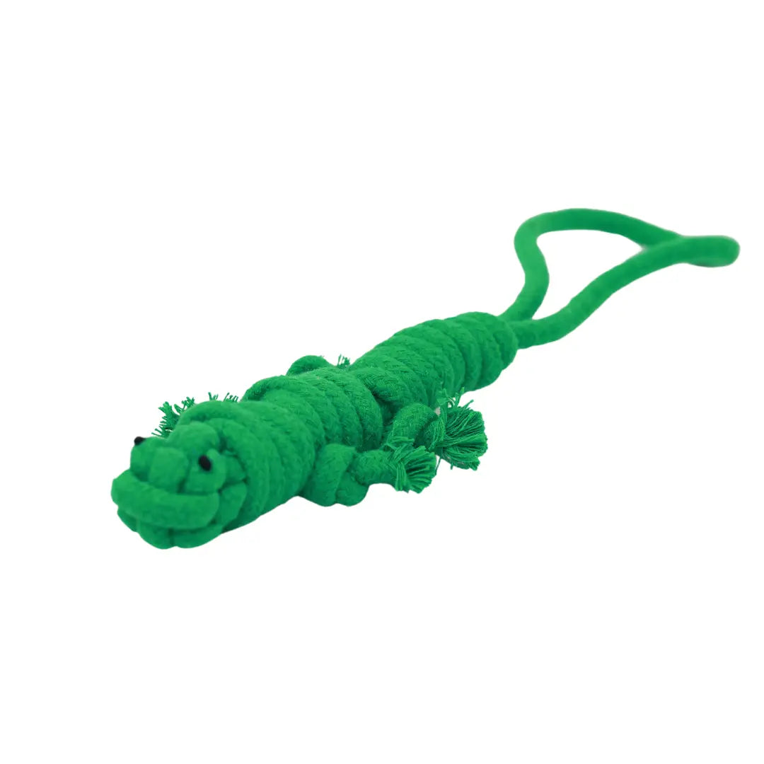 Owen the Green Lizard Rope Toy Knotty Pawz