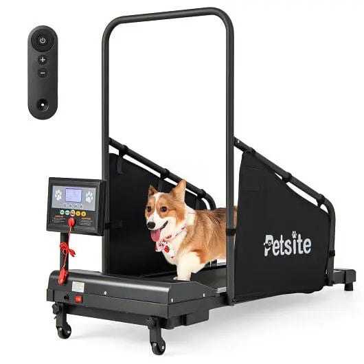 Indoor Pet Exercise Equipment with Remote Control Unbranded