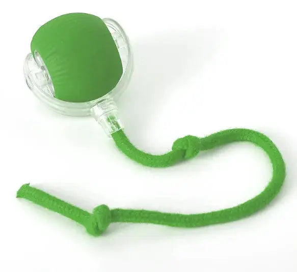 PurrPlay Self-Rolling Cat Toy Ball Gazebo Pet Hub