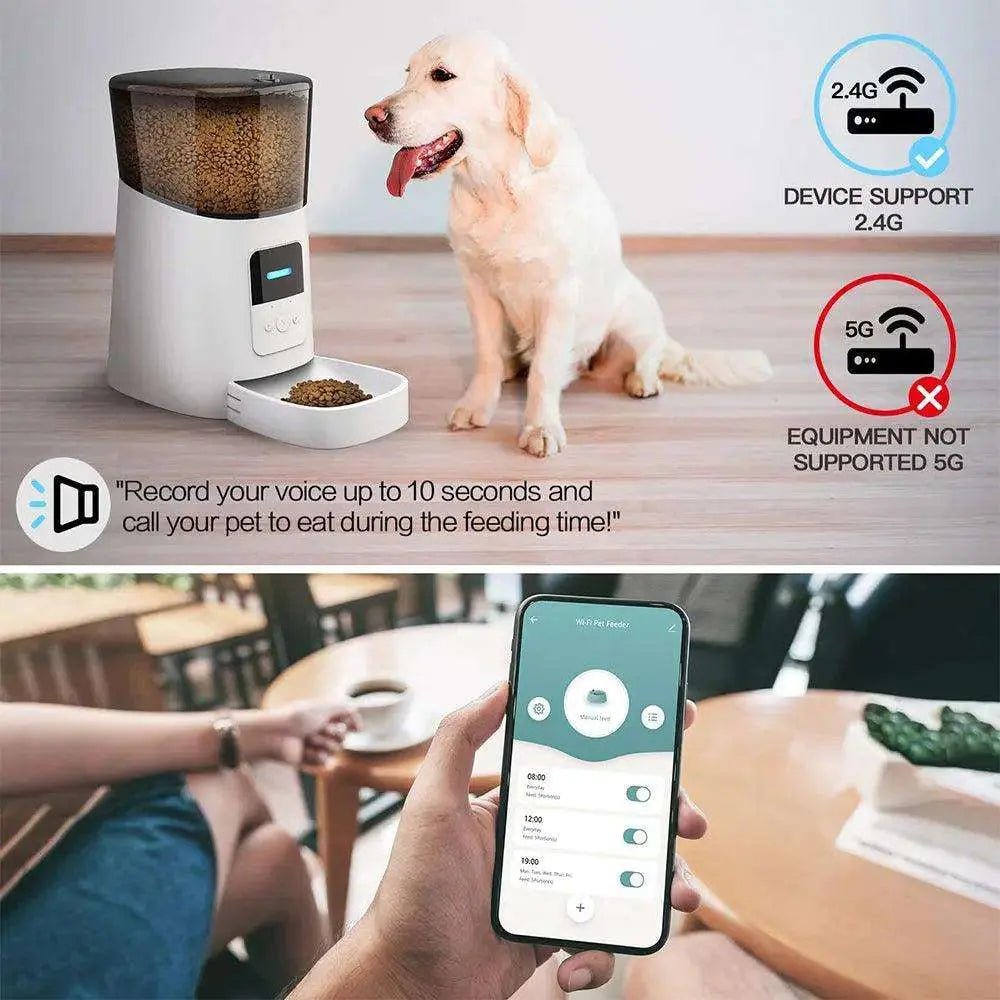 Automatic Cat Feeder WiFi Enable Smart Pet Dog Food Dispenser - Gazebo Pet Hub