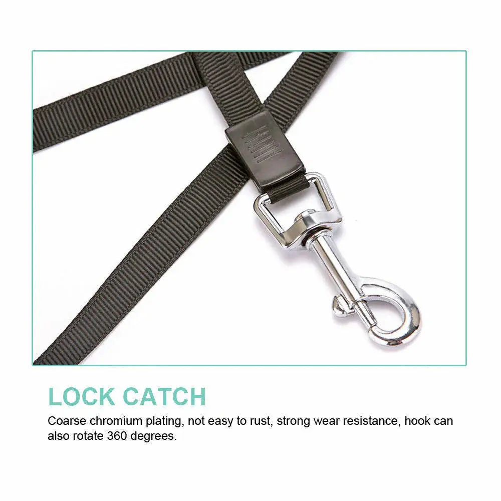 Automatic Retractable Dog Leash - Dual Size Options with Brake & Lock Safety System - Gazebo Pet Hub