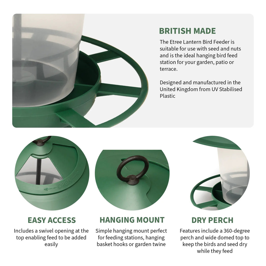Pre Filled Hanging Lantern Bird Feeder Gift Set & Sunflower Hearts Wild Bird Seed (450g)-2