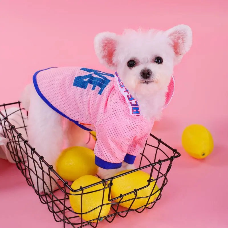 Breathable Mesh Hooded Dog Vest - Stylish Summer Shirt For Small Dogs - Gazebo Pet Hub