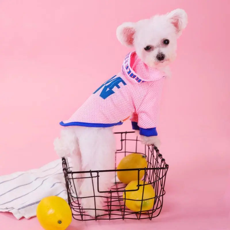Breathable Mesh Hooded Dog Vest - Stylish Summer Shirt For Small Dogs - Gazebo Pet Hub