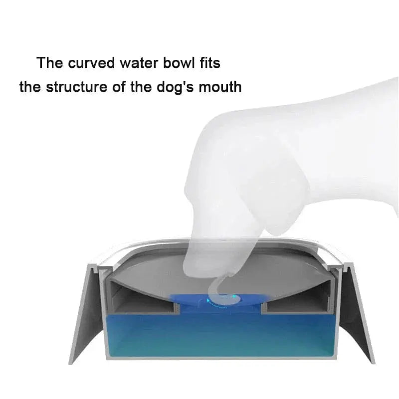 Dog Drinking Water Bowl with Floating Design - Non - Wetting, Non - Skid, Large Capacity - Gazebo Pet Hub
