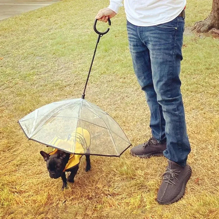 Dog Umbrella - Gazebo Pet Hub