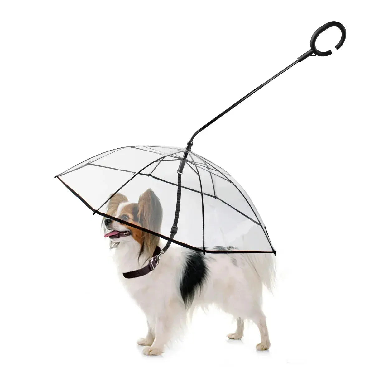 Dog Umbrella - Gazebo Pet Hub