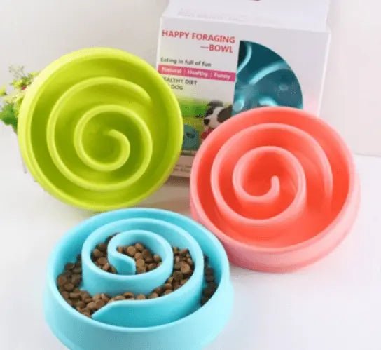 Healthy Lick & Feed Pet Bowl - Gazebo Pet Hub