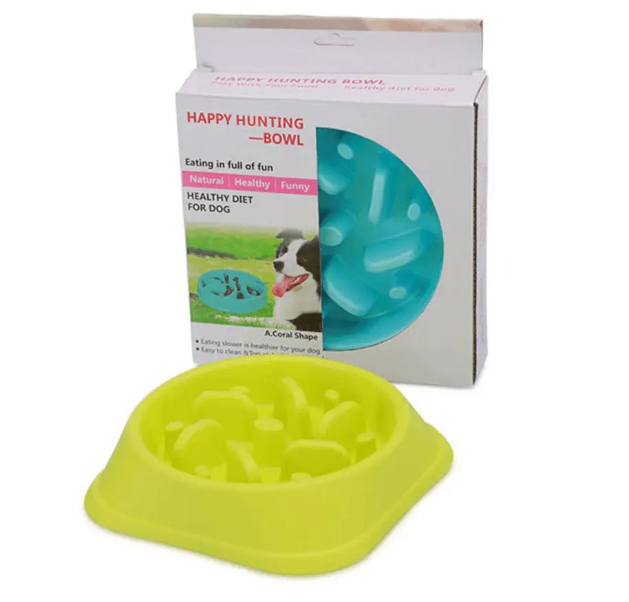Healthy Lick & Feed Pet Bowl - Gazebo Pet Hub