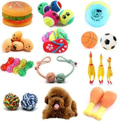 Interactive Pet Play Ball - Gazebo Pet Hub
