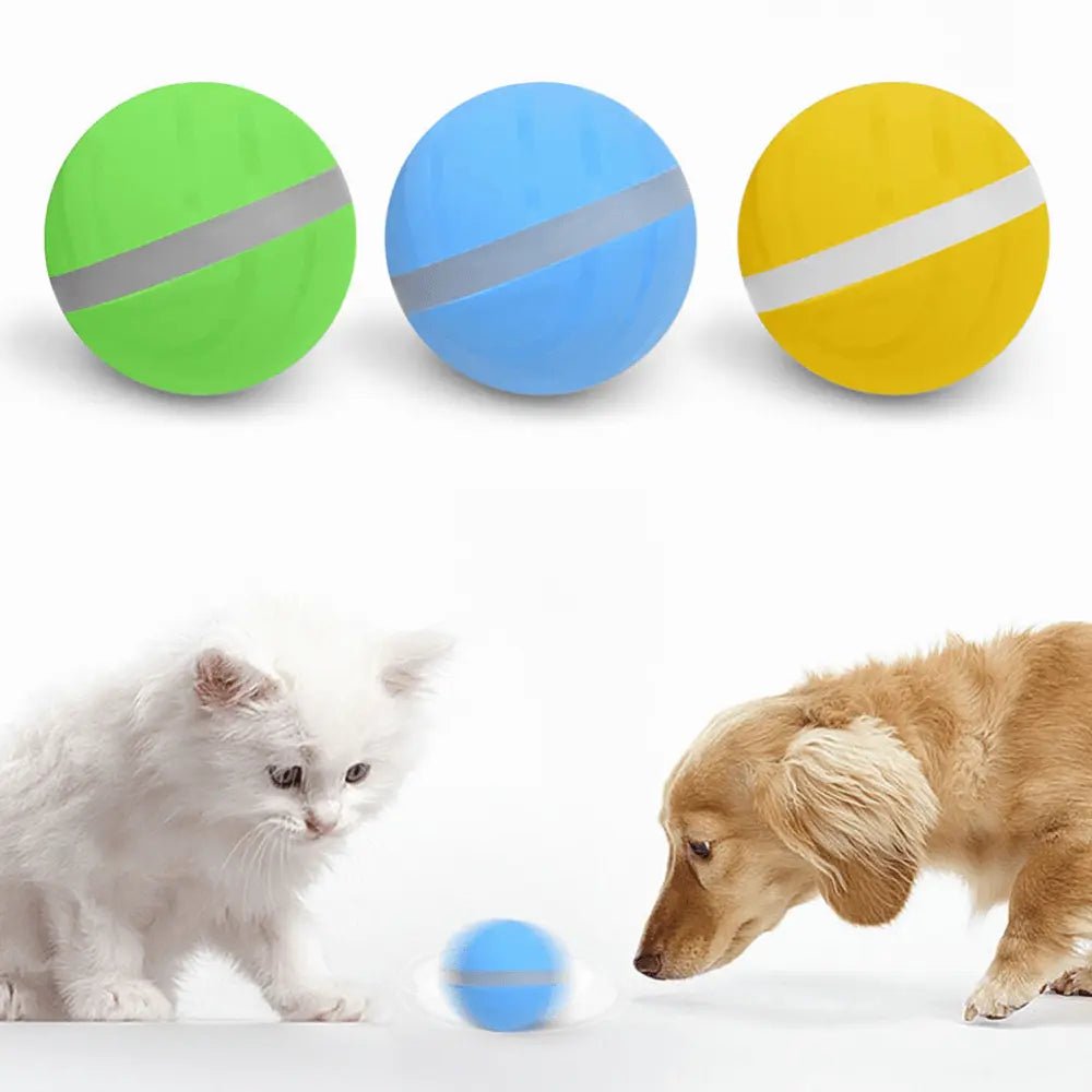 Interactive Smart Pet Toy Ball - The Ultimate Playmate For Your Furry Friend - Gazebo Pet Hub