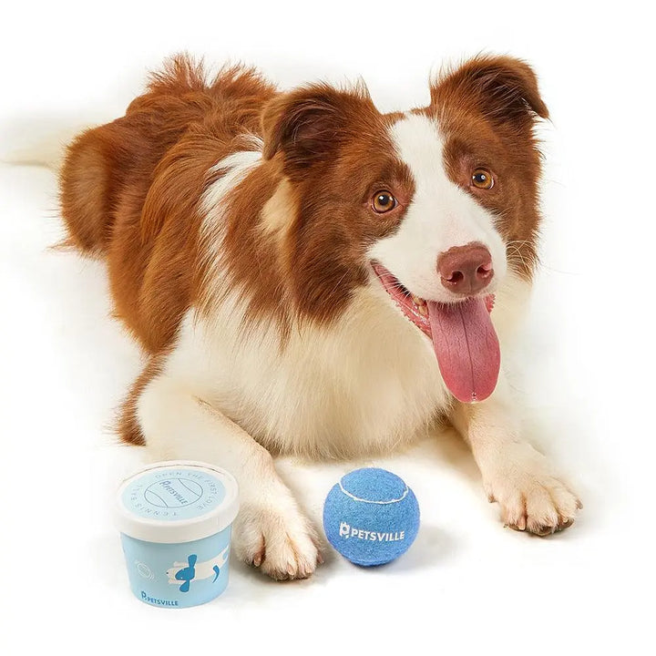 Interactive Tennis Dog Toy Set: Engage Your Pup In Outdoor Fun! - Gazebo Pet Hub