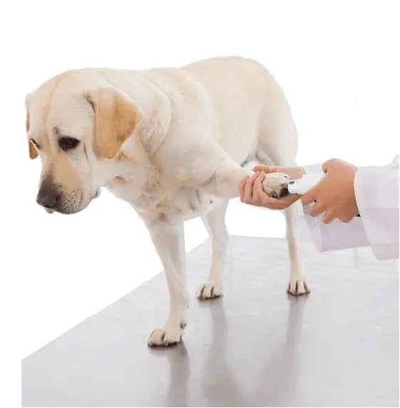 Pawperfect Pet Nail Care System: The Stress - Free Solution For Happy Paws - Gazebo Pet Hub