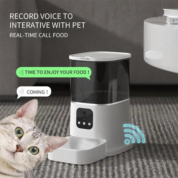 Pawsconnect Smartfeeder: The Ultimate Smart Pet Feeding Solution - Gazebo Pet Hub