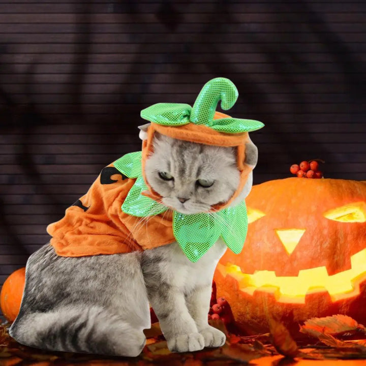 Pet Pumpkin Leaf Costume - Creative Halloween Cat Cosplay Clothing - Gazebo Pet Hub