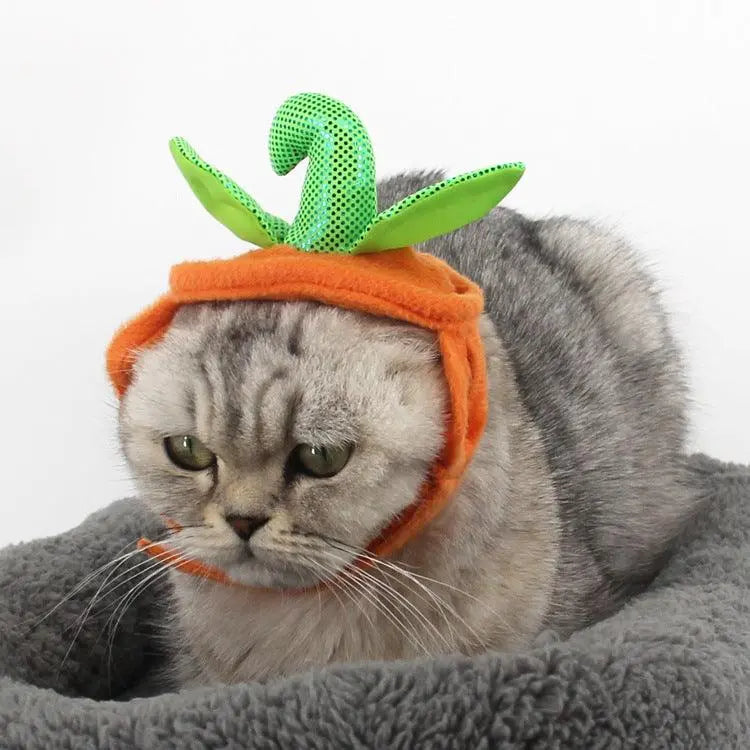 Pet Pumpkin Leaf Costume - Creative Halloween Cat Cosplay Clothing - Gazebo Pet Hub