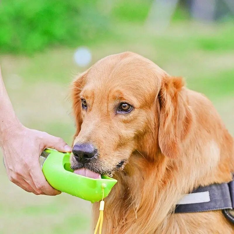 Portable Pet Cups Drinking Bottle Dog Cat Health Feeding Water Feeders Pet Travel Cups Pet Dog Water Bottle For Dog Bowl - Gazebo Pet Hub