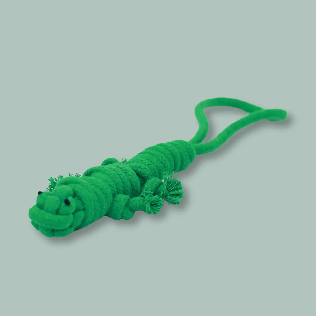 Owen the Green Lizard Rope Toy Knotty Pawz