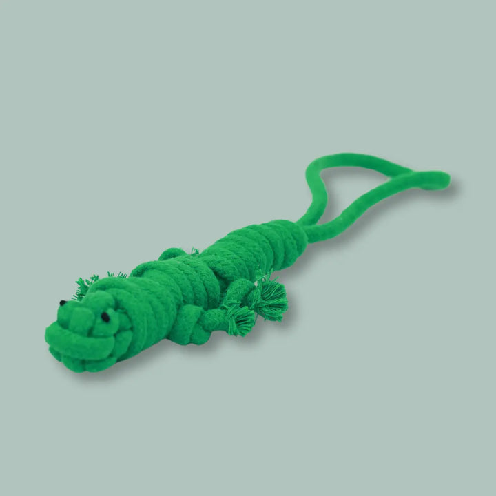 Owen the Green Lizard Rope Toy Knotty Pawz