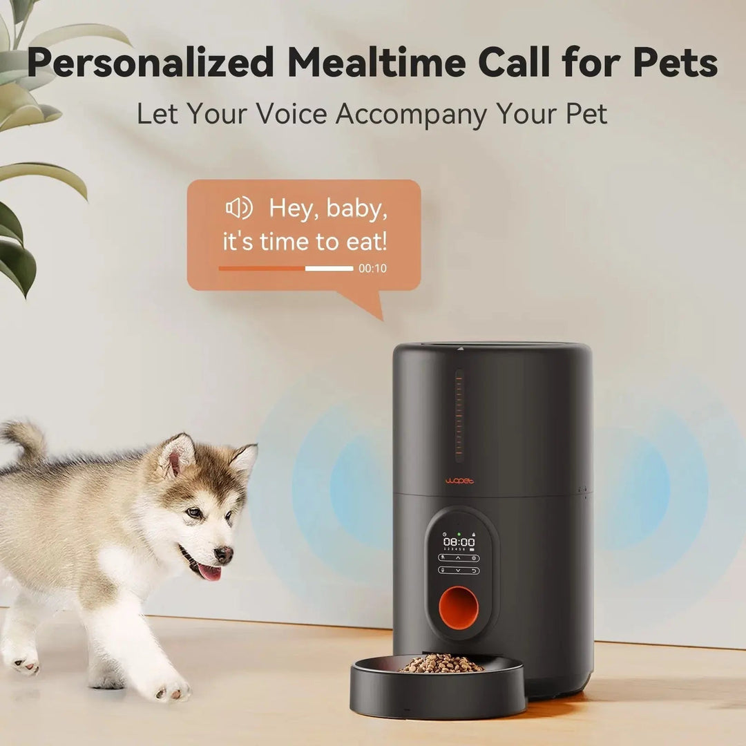 Smart Automatic Pet Feeder - Gazebo Pet Hub