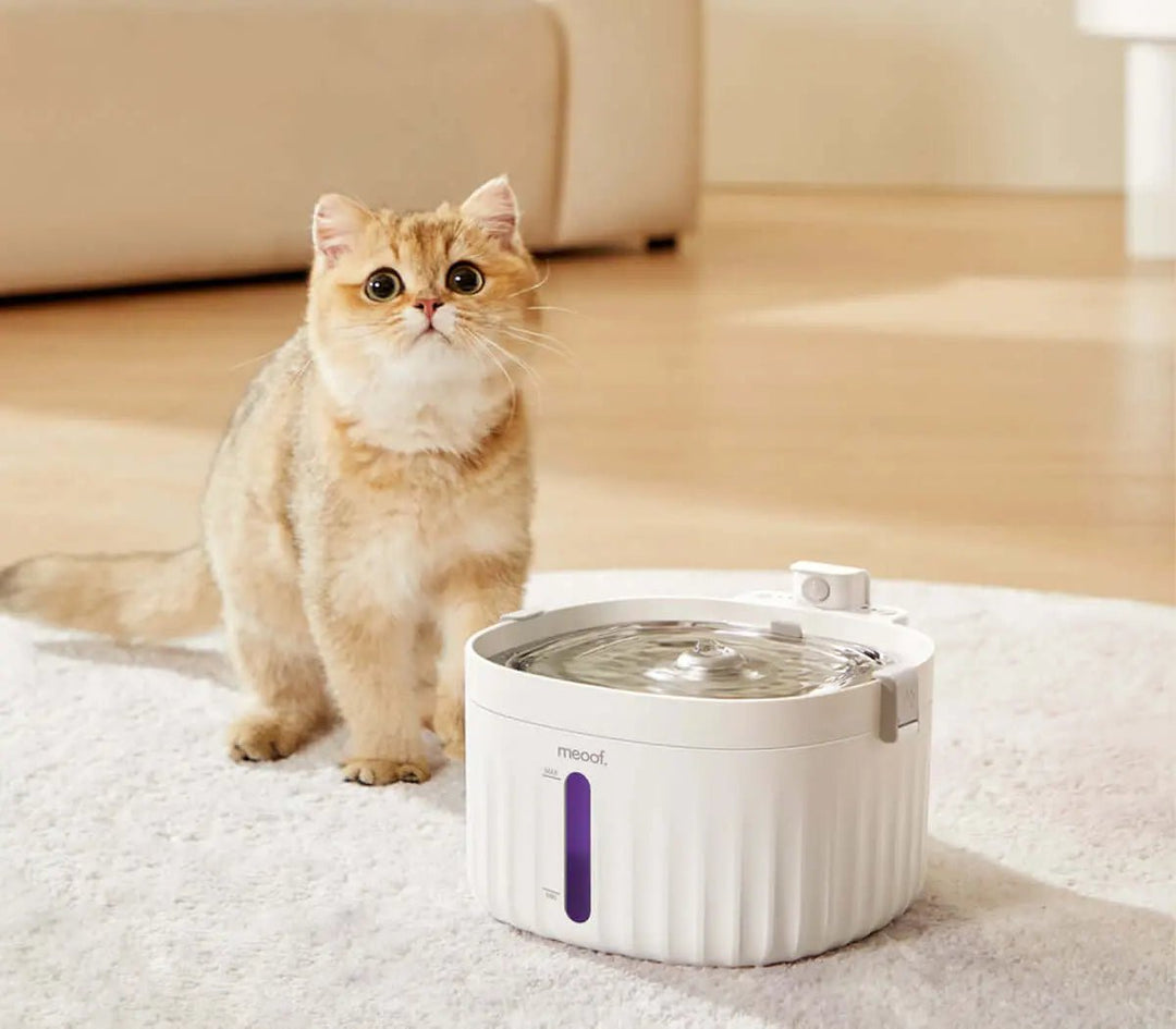 Smart Pet Water Fountain - Gazebo Pet Hub