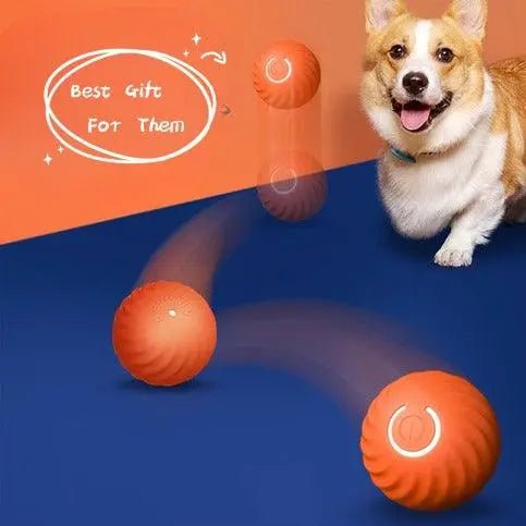 Smart Roll Pet Interactive Ball - Durable, Bite - Resistant Dog Toy For Training And Play - Gazebo Pet Hub