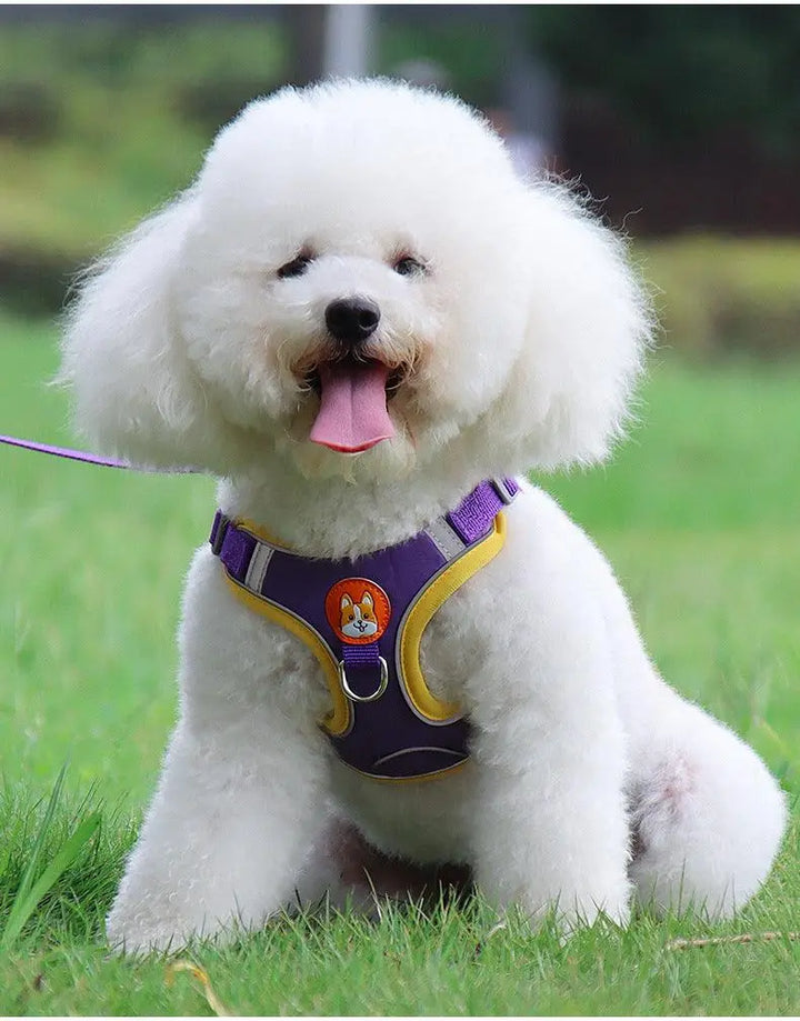 Ultimate Comfort And Safety Pet Harness Set - Gazebo Pet Hub