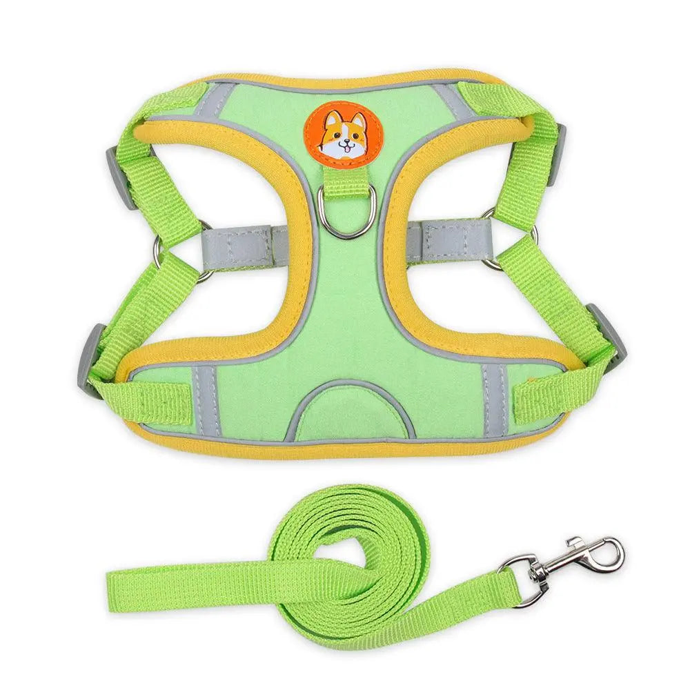 Ultimate Comfort And Safety Pet Harness Set - Gazebo Pet Hub