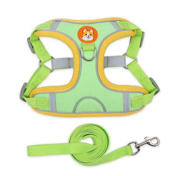 Ultimate Comfort And Safety Pet Harness Set - Gazebo Pet Hub