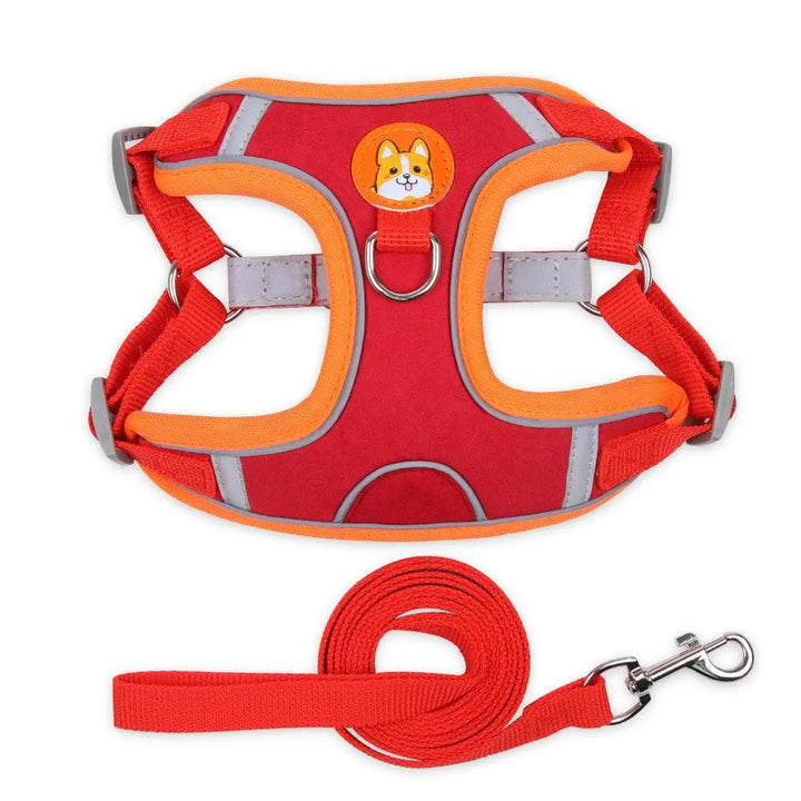 Ultimate Comfort And Safety Pet Harness Set - Gazebo Pet Hub