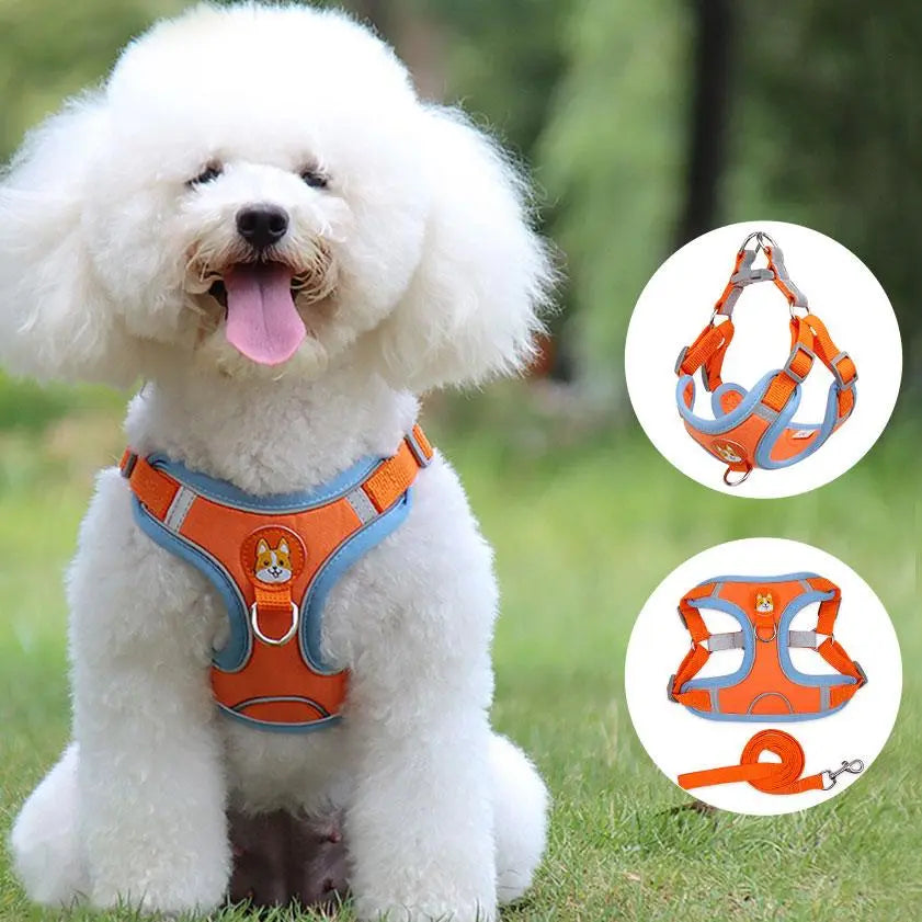 Ultimate Comfort And Safety Pet Harness Set - Gazebo Pet Hub