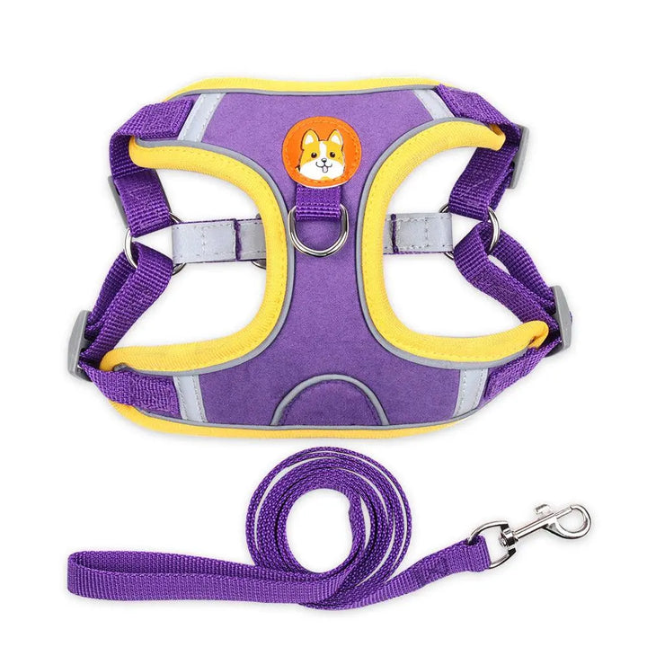 Ultimate Comfort And Safety Pet Harness Set - Gazebo Pet Hub