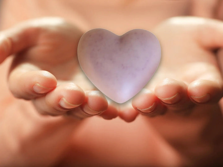 Wax Heart Freshener for Closets and Drawers - Spa & Relaxation - Gazebo Pet Hub